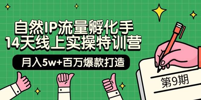自然IP流量孵化手 14天线上实操特训营【第9期】月入5w+百万爆款打造 (74节)-温馨分享网