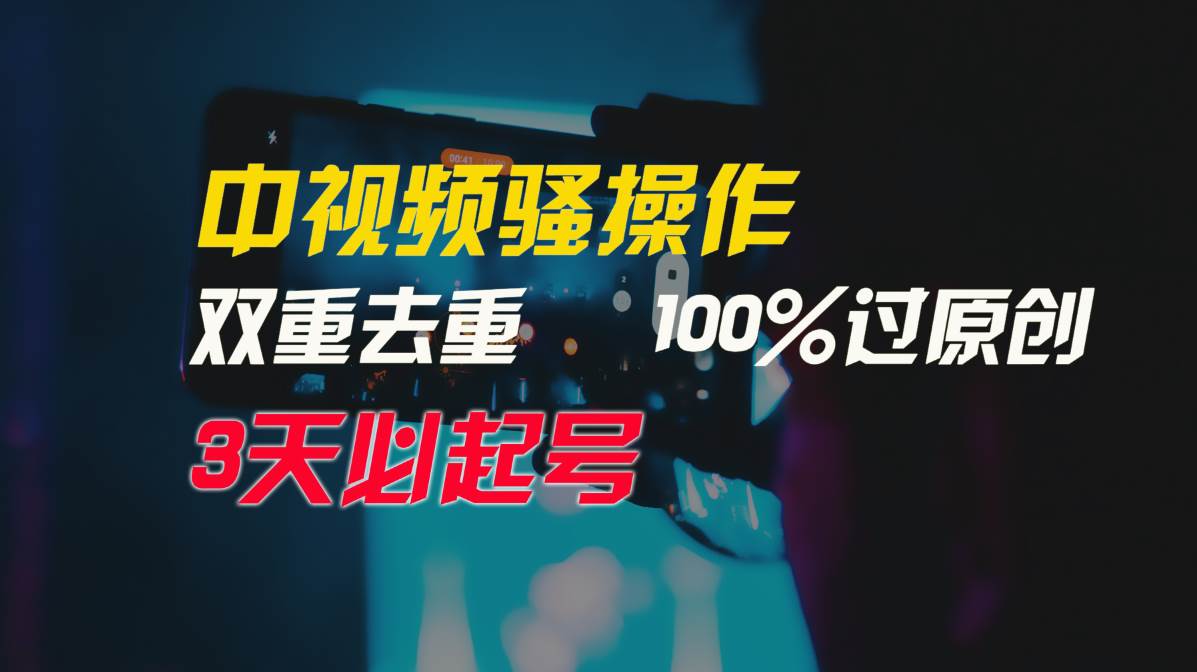 中视频骚操作，双重去重100%过原创，3天比必起号，简单无脑，月入3W+-温馨分享网