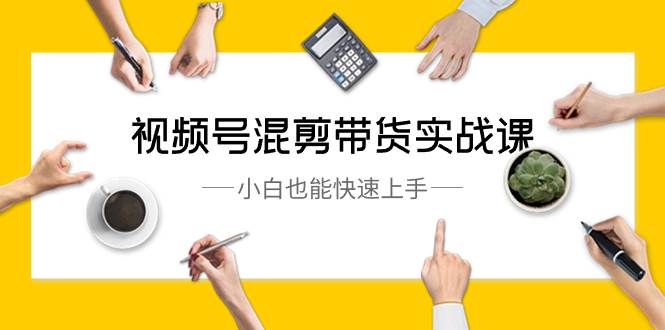 视频号-混剪带货实战课，小白也能快速上手（10节课）-温馨分享网