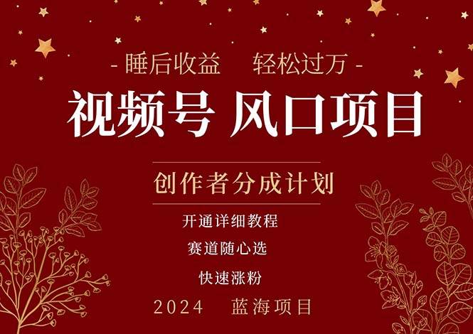 拥有睡眠收益的微信视频号大风口项目，轻松月入过万+，多赛道选择，可…-温馨分享网