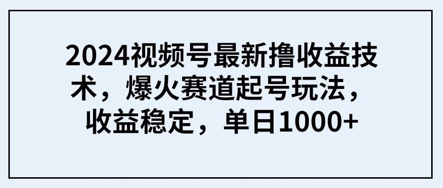 2024视频号最新撸收益技术，爆火赛道起号玩法，收益稳定，单日1000+-温馨分享网