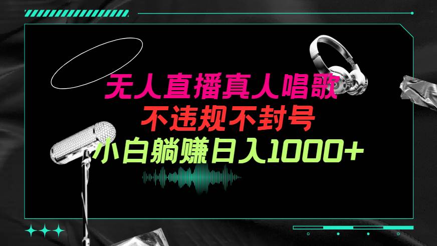 抖音24小时无人直播音乐，不违规，不封号纯撸音浪，小白实操当天日入1000+-温馨分享网