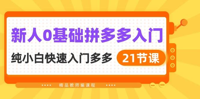 新人0基础拼多多入门，纯小白快速入门多多（21节课）-温馨分享网
