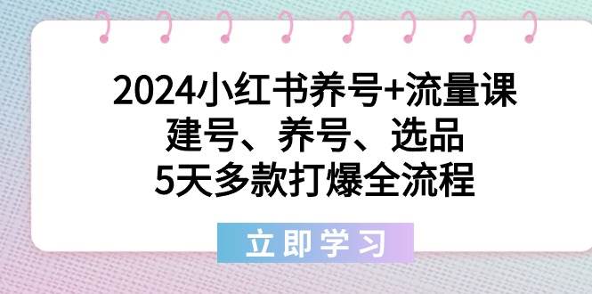 2024小红书养号+流量课：建号、养号、选品，5天多款打爆全流程-温馨分享网