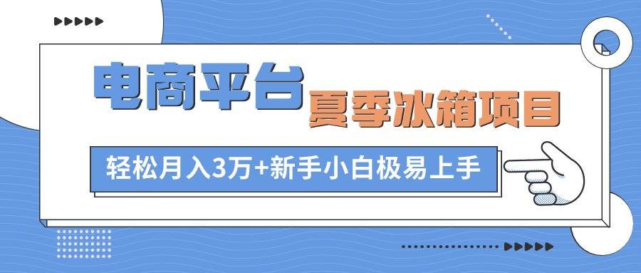 电商平台夏季冰箱项目，轻松月入3万+，新手小白极易上手-温馨分享网
