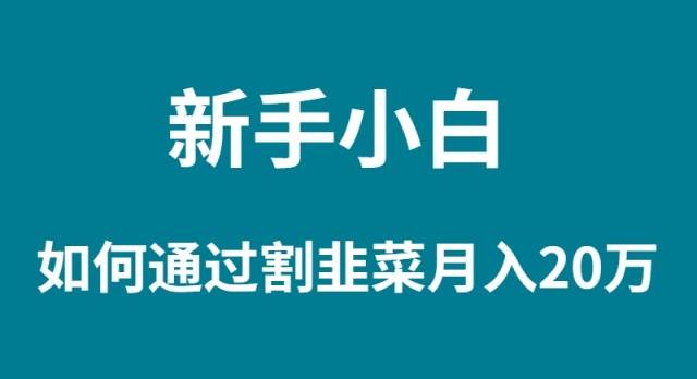 新手小白如何通过割韭菜月入 20W-温馨分享网