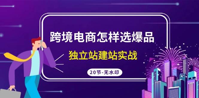 跨境电商怎样选爆品，独立站建站实战（20节高清无水印课）-温馨分享网