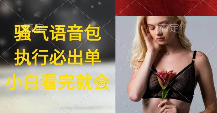 执行就出单，日入2000+，超火骚气语音包，小白看完课程就能马上实操-温馨分享网