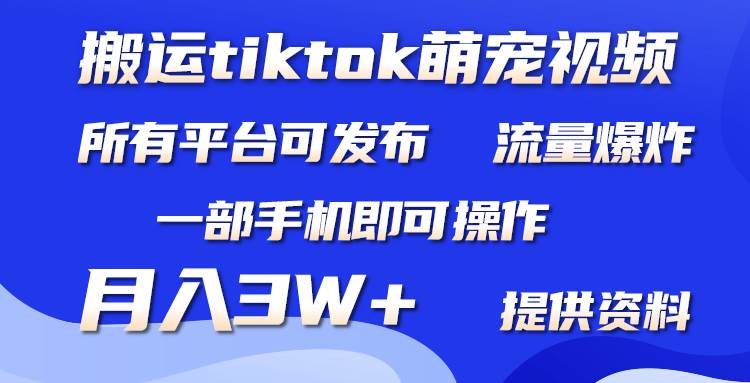 搬运Tiktok萌宠类视频，一部手机即可。所有短视频平台均可操作，月入3W+-温馨分享网