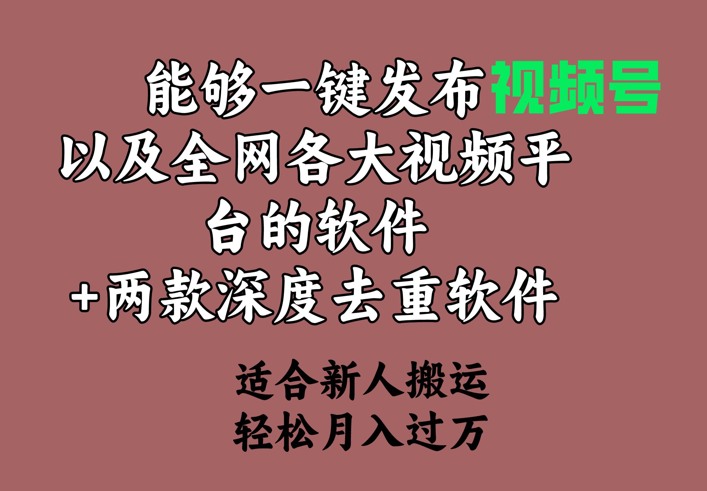 能够一键发布视频号以及全网各大视频平台的软件+两款深度去重软件 适合…-温馨分享网