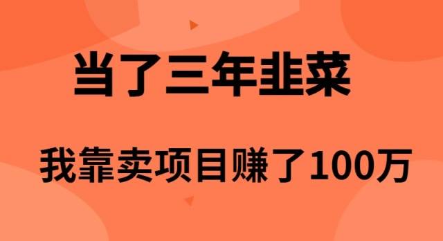 当了3年韭菜，我靠卖项目赚了100万-温馨分享网