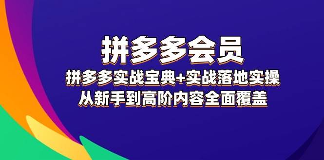 拼多多 会员，拼多多实战宝典+实战落地实操，从新手到高阶内容全面覆盖-温馨分享网