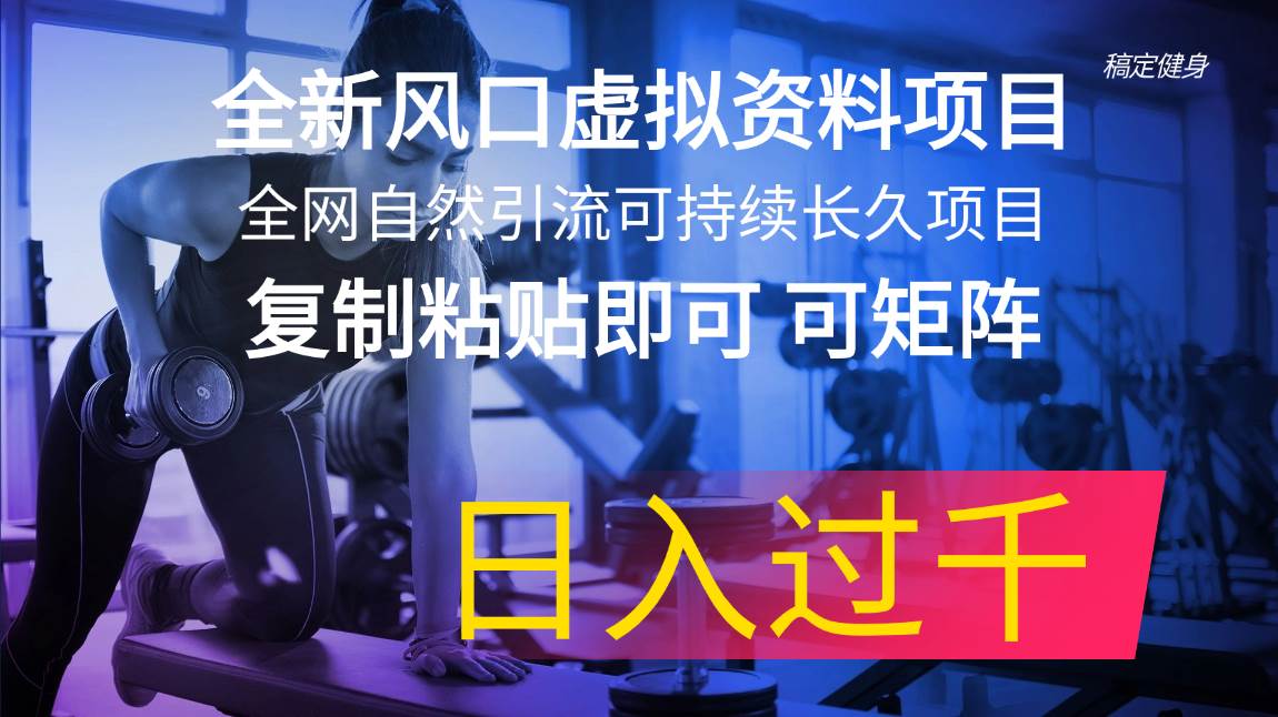 全新风口虚拟资料项目 全网自然引流可持续长久项目 复制粘贴即可可矩阵…-温馨分享网