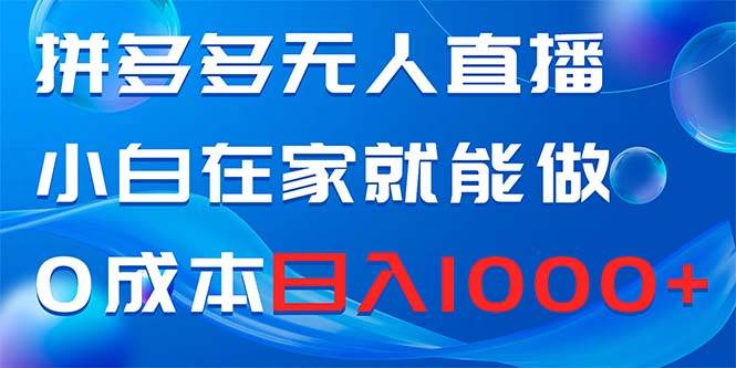拼多多无人直播，小白在家就能做，0成本日入1000+-温馨分享网