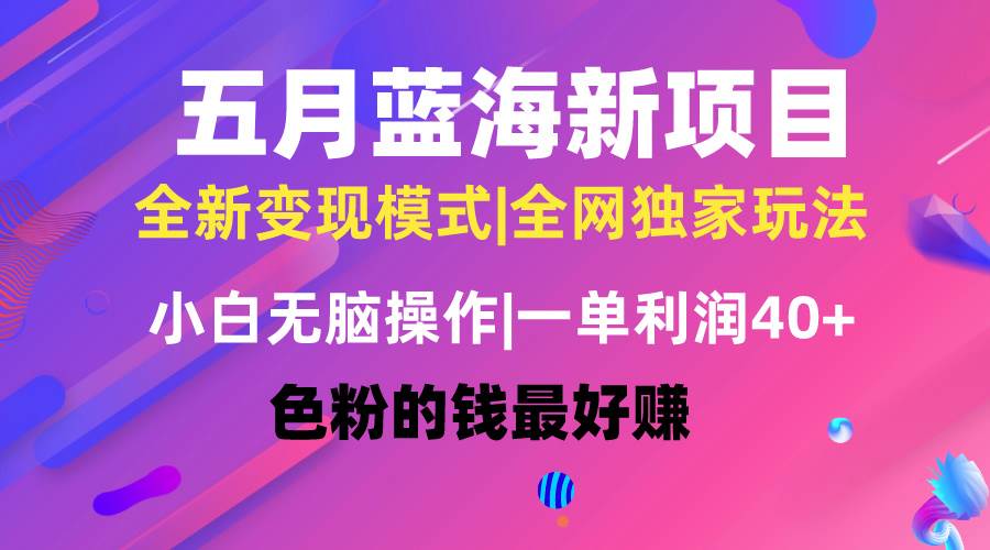 五月蓝海项目全新玩法，小白无脑操作，一天几分钟，矩阵操作，月入4万+-温馨分享网