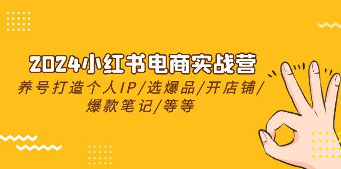 2024小红书电商实战营，养号打造IP/选爆品/开店铺/爆款笔记/等等（24节）-温馨分享网