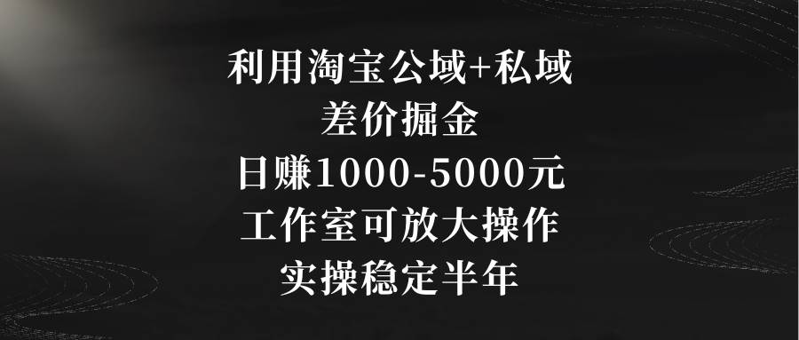利用淘宝公域+私域差价掘金，日赚1000-5000元，工作室可放大操作，实操…-温馨分享网