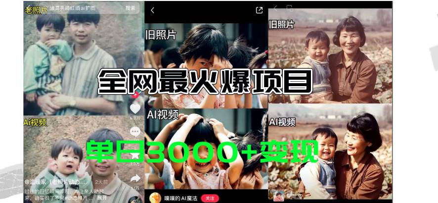 全网爆火的AI让老照片动起来教程，蹭热点日赚3000+，内含免费工具一键…-温馨分享网
