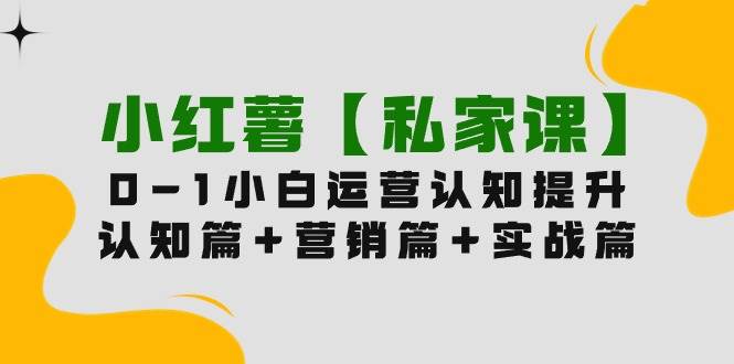 小红薯【私家课】0-1玩赚小红书内容营销，认知篇+营销篇+实战篇（11节课）-温馨分享网