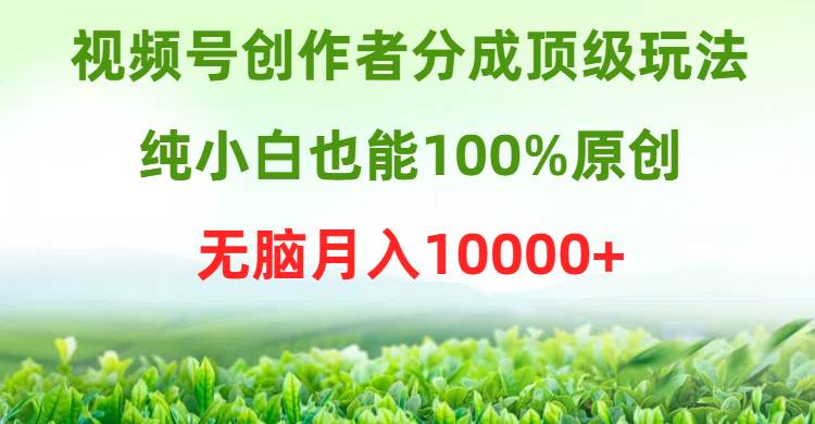 视频号创作者分成顶级玩法，纯小白也能100%原创，无脑月入10000+-温馨分享网