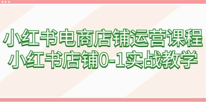 小红书电商店铺运营课程，小红书店铺0-1实战教学（60节课）-温馨分享网