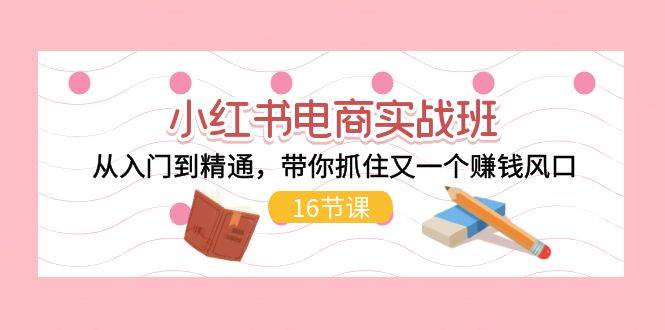 小红书电商实战班，从入门到精通，带你抓住又一个赚钱风口（16节）-温馨分享网