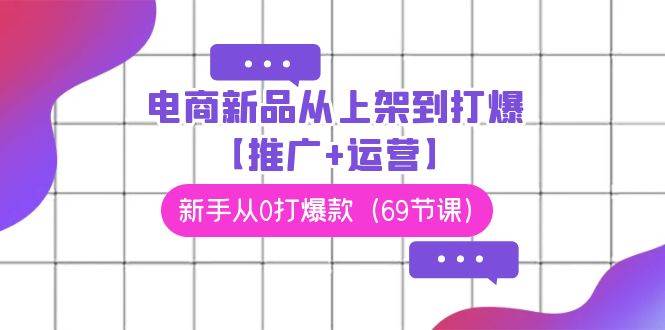 电商 新品从上架到打爆【推广+运营】，新手从0打爆款（69节课）-温馨分享网