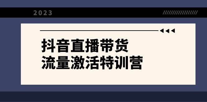 抖音直播带货-流量激活特训营，入行新手小白主播必学（21节课+资料）-温馨分享网