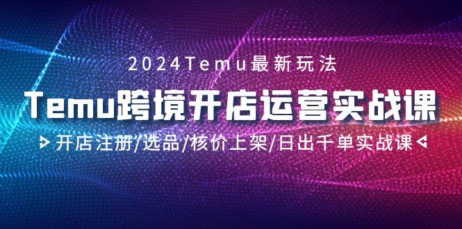 2024Temu跨境开店运营实战课，开店注册/选品/核价上架/日出千单实战课-温馨分享网