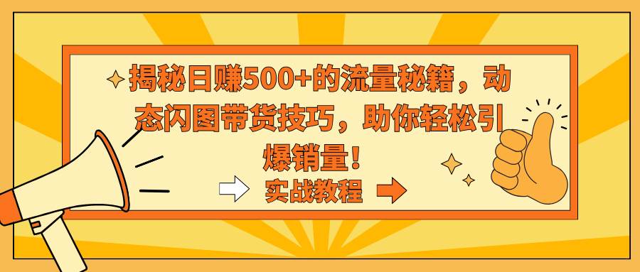 揭秘日赚500+的流量秘籍，动态闪图带货技巧，助你轻松引爆销量！-温馨分享网