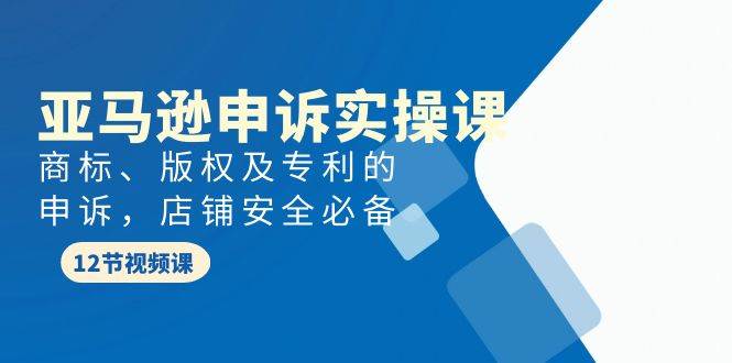 亚马逊-申诉实战课，商标、版权及专利的申诉，店铺安全必备-温馨分享网