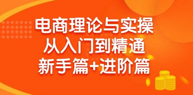 电商理论与实操从入门到精通 新手篇+进阶篇-温馨分享网