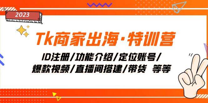 Tk商家出海·特训营：ID注册/功能介绍/定位账号/爆款视频/直播间搭建/带货-温馨分享网