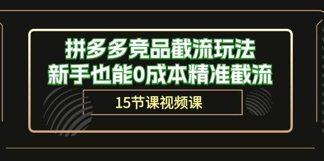 拼多多竞品截流玩法，新手也能0成本精准截流（15节课）-温馨分享网