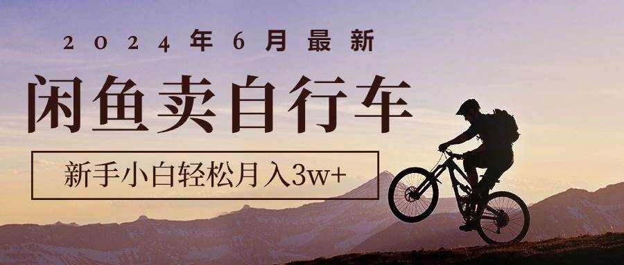 2024年6月最新闲鱼卖自行车，新手小白轻松月入3w+项目-温馨分享网