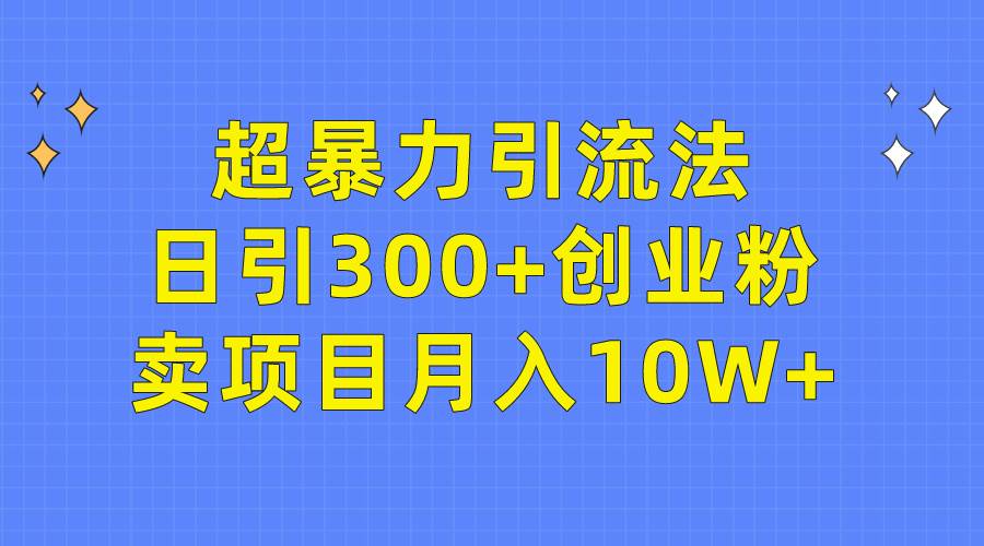超暴力引流法，日引300+创业粉，卖项目月入10W+-温馨分享网