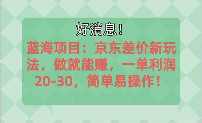 越早知道越能赚到钱的蓝海项目：京东大平台操作，一单利润20-30，简单…-温馨分享网