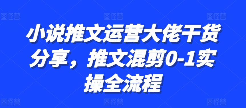 小说推文运营大佬干货分享，推文混剪0-1实操全流程-温馨分享网