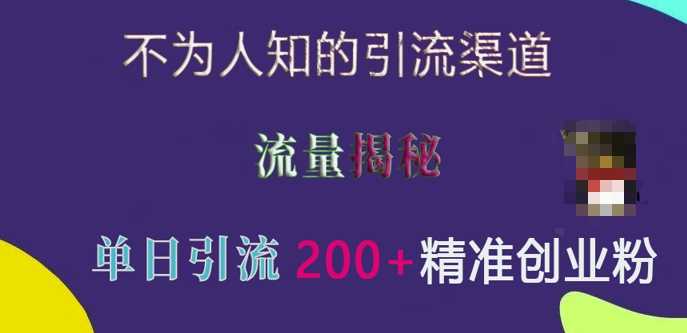 不为人知的引流渠道，流量揭秘，实测单日引流200+精准创业粉【揭秘】-温馨分享网
