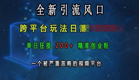 全新引流风口，跨平台玩法日入上k，单日狂揽200+精准创业粉，一个被严重忽略的视频平台-温馨分享网