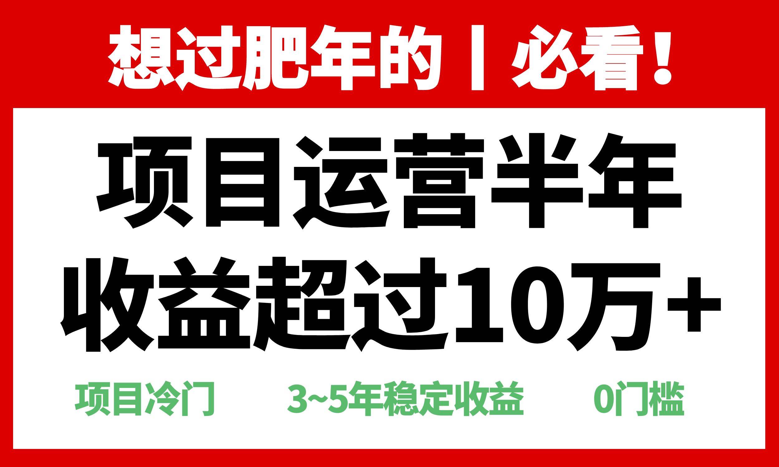 年前过肥年的必看的超冷门项目，半年收益超过10万+，-温馨分享网