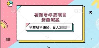 视频号年货项目，流量贼猛，早布局早挣钱，日入上k【揭秘】-温馨分享网
