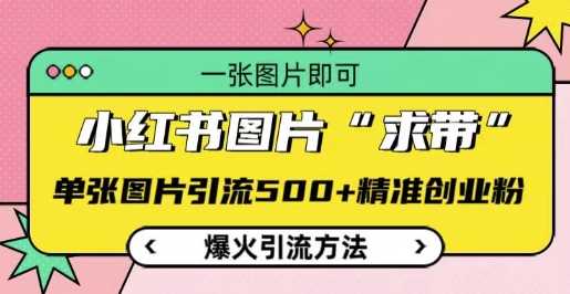 小红书图片‘求带’爆火引流法，单张图片引流500+精准创业粉【揭秘】-温馨分享网