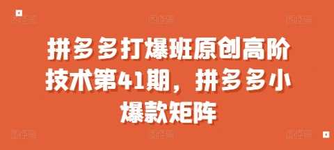 拼多多打爆班原创高阶技术第41期，拼多多小爆款矩阵-温馨分享网