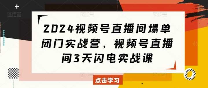 2024视频号直播间爆单闭门实战营，视频号直播间3天闪电实战课-温馨分享网
