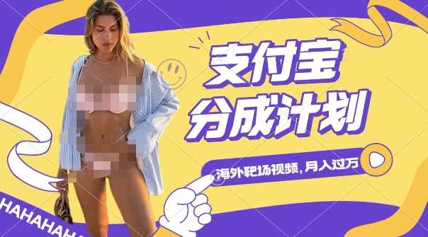 利用海外靶场射击视频，挣支付宝分成收益，轻松月入过W【揭秘】-温馨分享网
