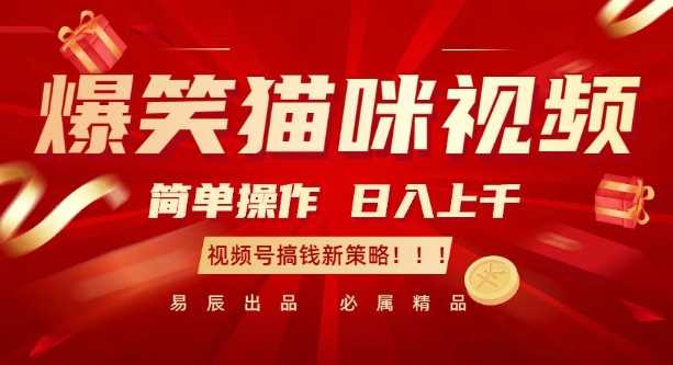 爆笑猫咪视频：简单操作，日入过K，视频号搞钱新策略【揭秘】-温馨分享网