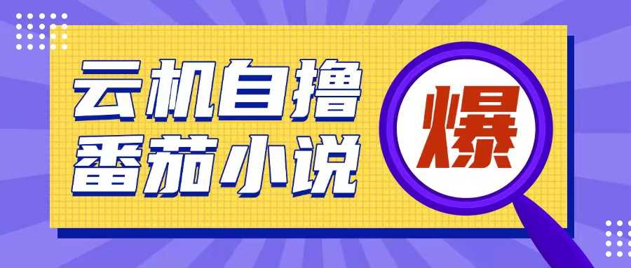 首发云手机自撸小说玩法，10块钱成本可撸200+收益操作简单【揭秘】-温馨分享网