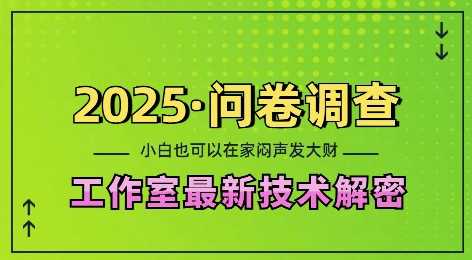 2025问卷调查最新工作室技术解密：一个人在家也可以闷声发大财，小白一天2张，可矩阵放大【揭秘】-温馨分享网