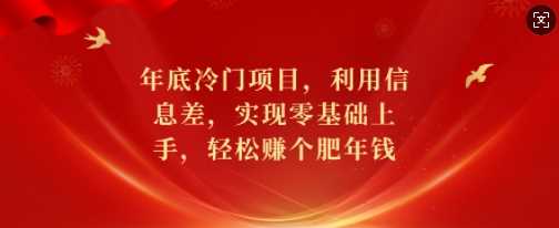 年底冷门项目，利用信息差，实现零基础上手，轻松赚个肥年钱【揭秘】-温馨分享网